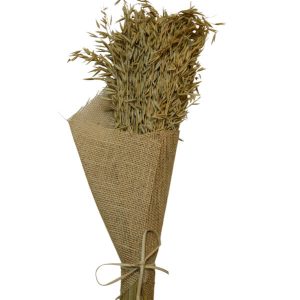 Avana Grass | Wholesale Everflorals | Natural NY1003