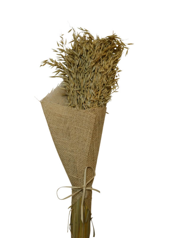 Avana Grass | Wholesale Everflorals | Natural NY1003