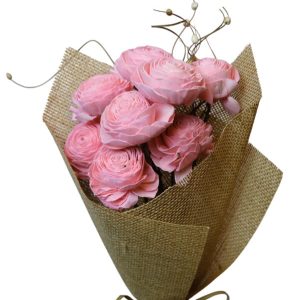 Beauty Rose Coral Pink