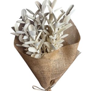 Betal Pine Gardenia Natural Bleached