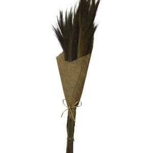 Broom Grass Natural