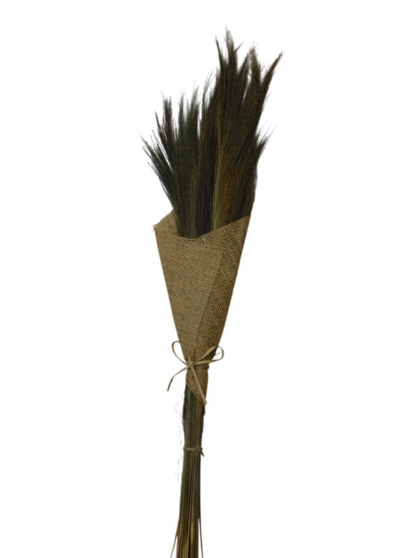 Broom Grass Natural