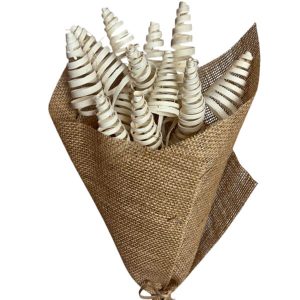 Cane Cone Natural Bleached