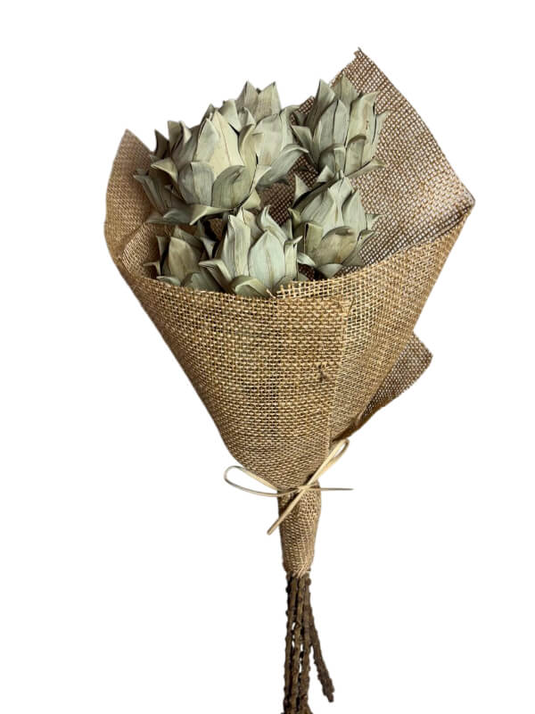 Date Artichoke Natural