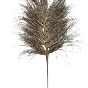 Deco Grass Leaf Natural