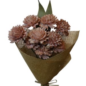 Folded Dahlia Old Pink