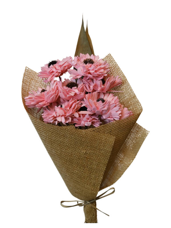 Germini Flower Coral Pink