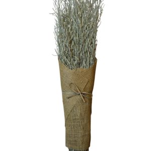 Mustard Grass Sage Green