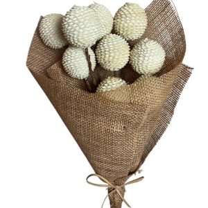 Palm Cord Ball Bleached Natural