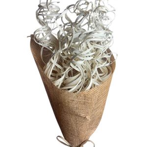 Palm Curly Ting Ting Natural Bleached