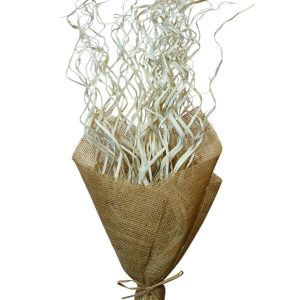 Palm Magdelena Bleached Natural