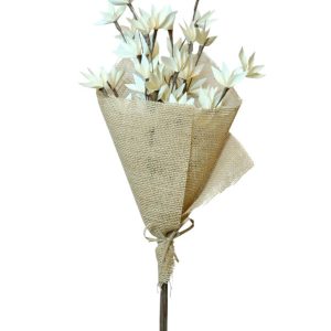 Palm Peacock Branch Bleached Natural