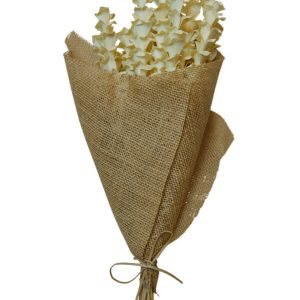 Palm Pine Bleached Natural