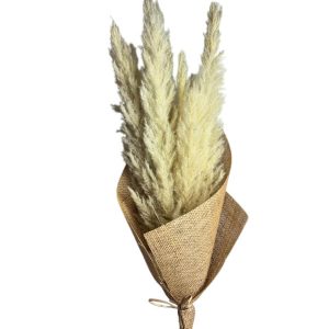 Pampas White White Natural