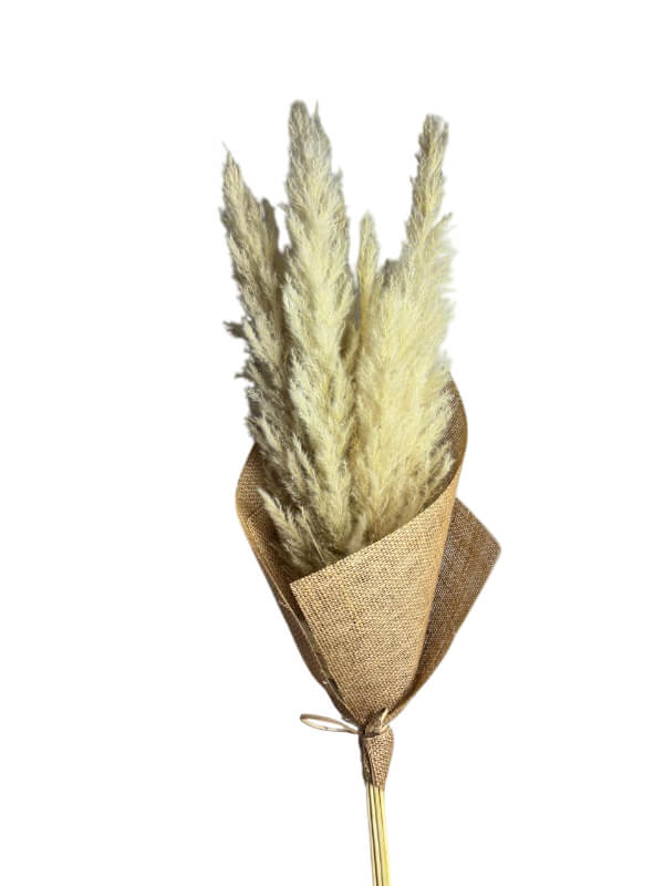 Pampas White White Natural