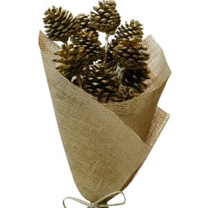 Pine Cone Gold