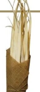 Sun Palm Leaves Natural