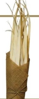 Sun Palm Leaves Natural