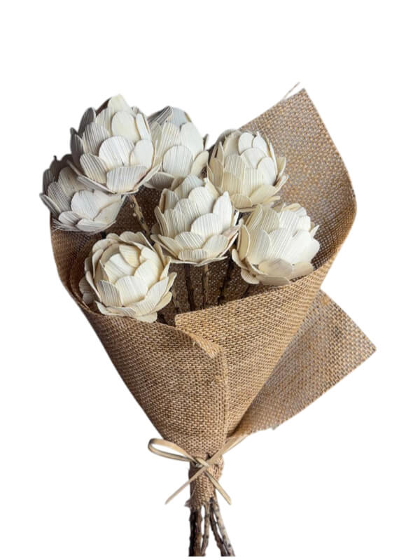 White Cabbage Bleached Natural