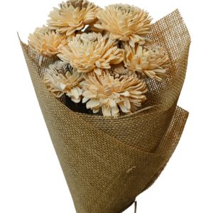 Zinnia Flower Corn Yellow