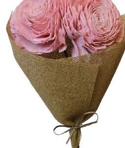 Beauty Rose Coral Pink