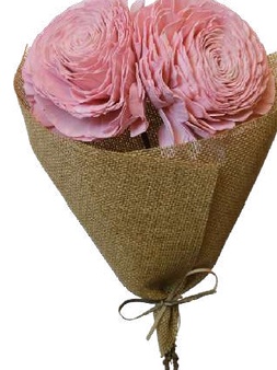 Beauty Rose Coral Pink