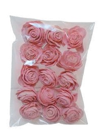 Beauty Rose Coral Pink