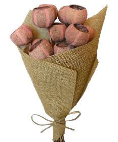 Bell Cup Pumpkin Coral Pink