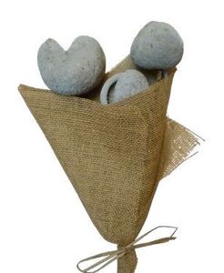 Budha Nut Sage Green