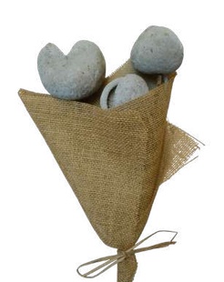 Budha Nut Sage Green