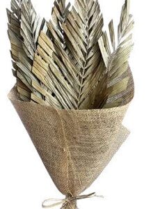 Cana Leaves Pyramid Natural