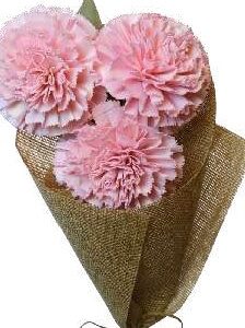 Carnation 6" Coral Pink
