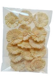 Carnation Sun Corn Yellow