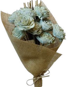 Cedar Rose Sage Green