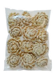 Chrysanthemum Corn Yellow