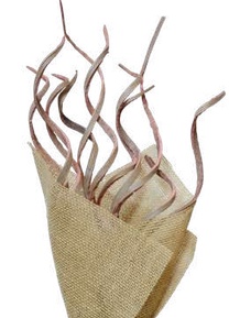 Coco Curly Coral Pink