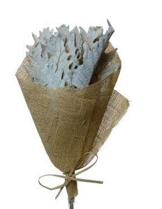 Sage Green Fern Leaves, Wholesale Everflorals