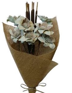 Flannel Flower Sage Green