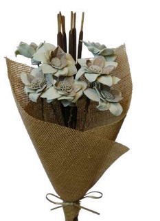 Flannel Flower Sage Green