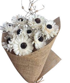 Natural Germini Flower, Wholesale Everflorals