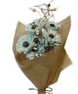 Sage Green Germini Flower, Wholesale Everflorals