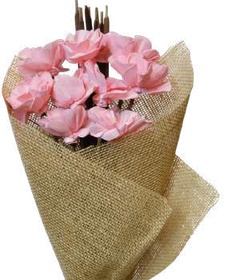 Hydrangea Coral Pink