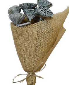 Lotus Pod Sage Green