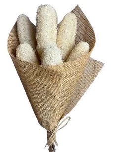 Luffa Natural