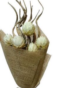 Mixed Bouquet Coco Curly Natural