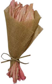 Nut Leaves Coral Pink