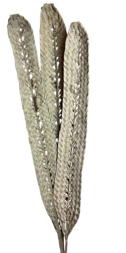 Palm Boat Leaves Natural