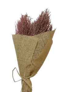 Palm Jhat Coral Pink