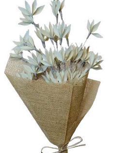 Palm Peacock Branch Sage Green