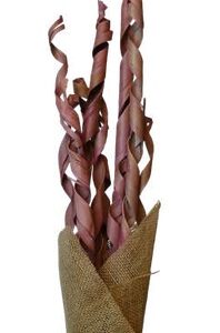 Palm Roll Coral Pink